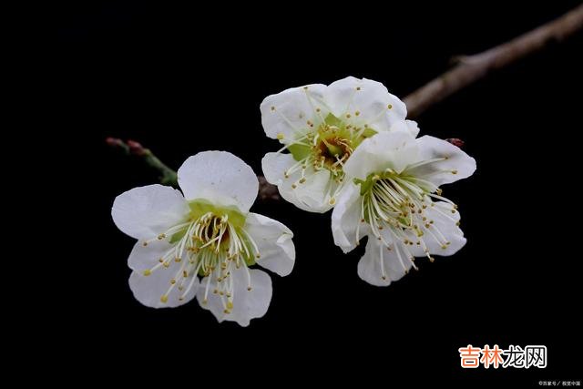 01引言网上看过这样一句话:“方法比知识重要 最好解决问题方式是不动怒,懂换位