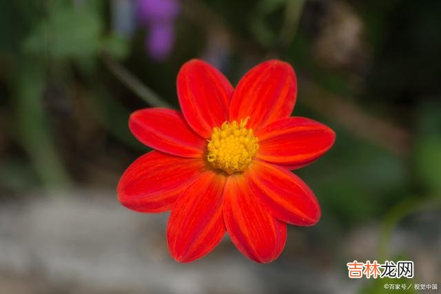 世上的每个女人 这世上能靠得住的，除了爱你至深的亲人，就是你自己