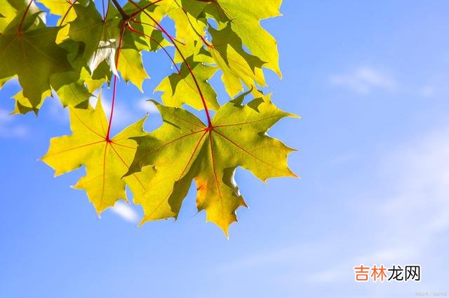 01引言你是不是和我一样 停下来休息不是目的，等休息好全力以赴才是目的