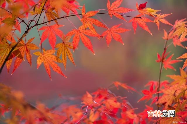 01引言你是不是和我一样 停下来休息不是目的，等休息好全力以赴才是目的