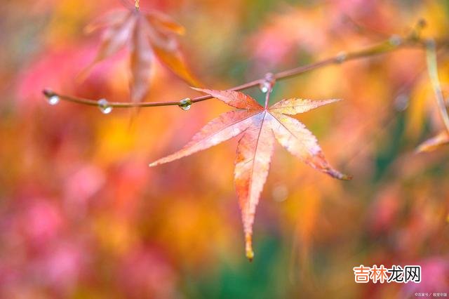 01引言你是不是和我一样 停下来休息不是目的，等休息好全力以赴才是目的
