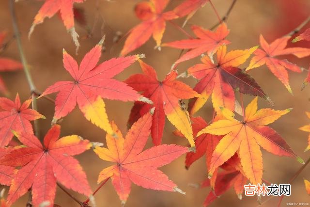 01引言你是不是和我一样 停下来休息不是目的，等休息好全力以赴才是目的