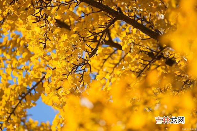 01引言这世上的每个人 只有棱角分明，别人才会把你当回事，才不敢欺负你