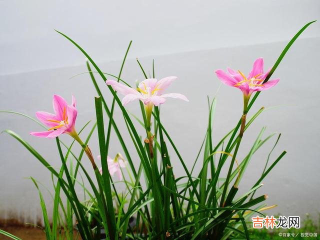 01引言最近在网上看到这样一句话：“真正厉害的人 真正厉害的人，绝对不会到处说，而是懂得沉默