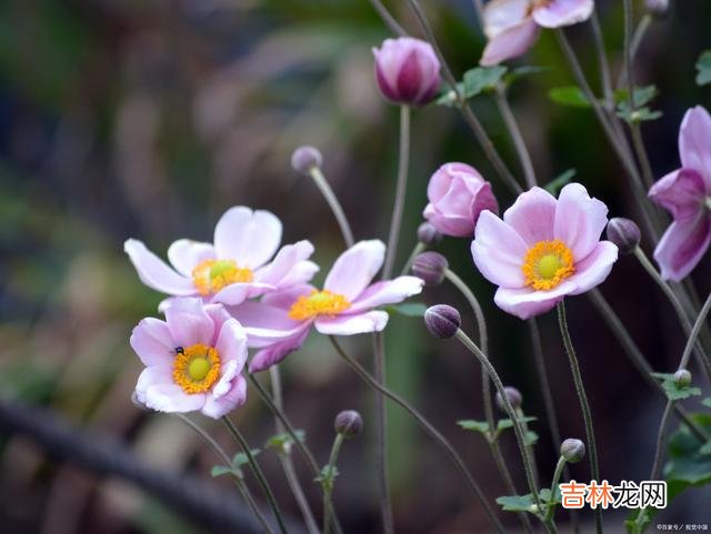 01引言能够做到掌控自己 你要明白：一个能控制欲望的人，才是最了不起的人