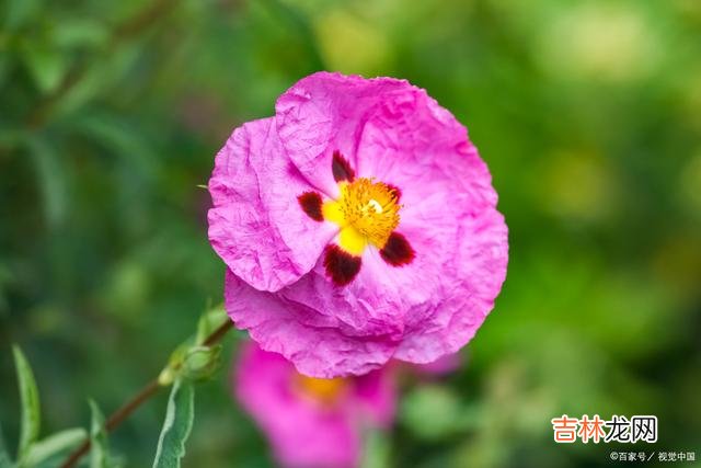 01婚姻问题 婚姻出现问题时，聪明的夫妻会想着修补，而不是草率离婚