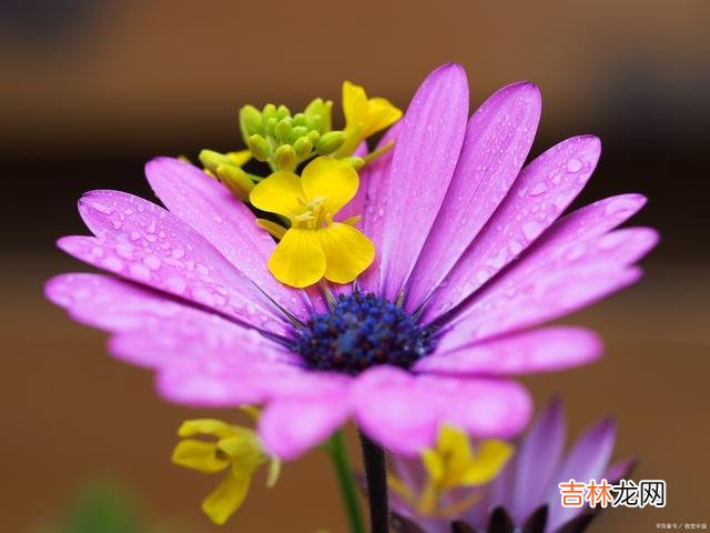 01婚姻问题 婚姻出现问题时，聪明的夫妻会想着修补，而不是草率离婚