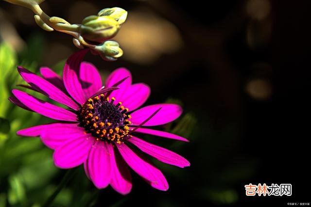 01婚姻问题 婚姻出现问题时，聪明的夫妻会想着修补，而不是草率离婚