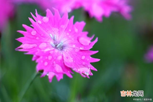 01婚姻问题 婚姻出现问题时，聪明的夫妻会想着修补，而不是草率离婚