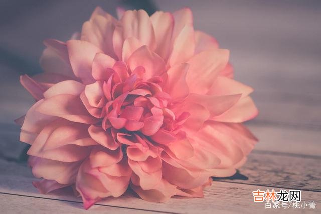 四十岁是人生的分水岭 四十岁以后,做自己,爱自己,按自己的想法生活,才不枉此生