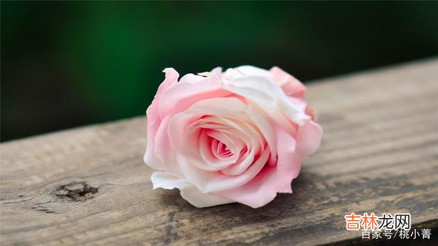 四十岁是人生的分水岭 四十岁以后，做自己，爱自己，按自己的想法生活，才不枉此生