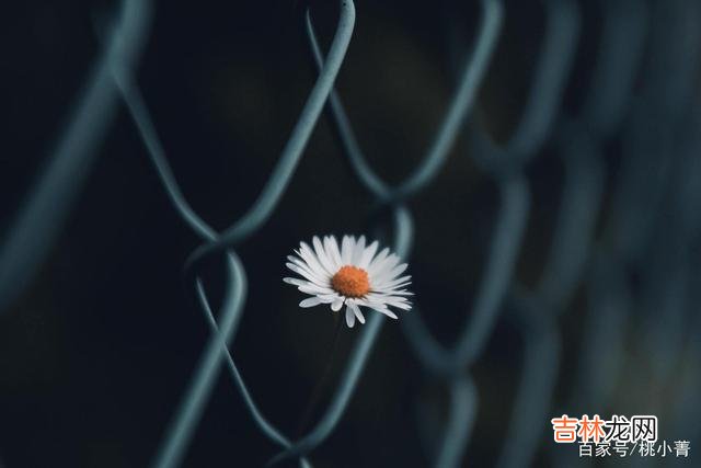 -01-感情就像水杯里的水 已经变心的女人,永远也不会给你幸福,及时止损,趁早放手