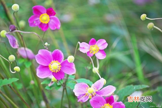 很多时候 如果在日常生活中，有人不喜欢你，那就记住这3句话吧