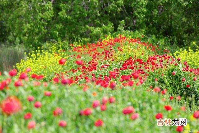 01引言生而为人 简单来说就是，一个女人的好命，是从会说话开始的