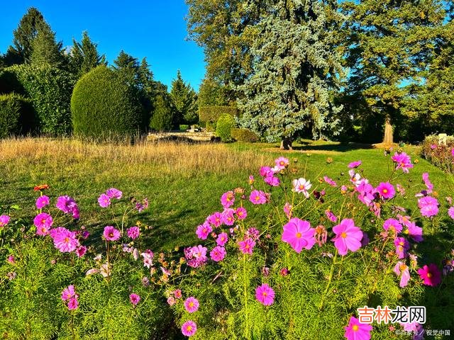 01引言生而为人 简单来说就是，一个女人的好命，是从会说话开始的