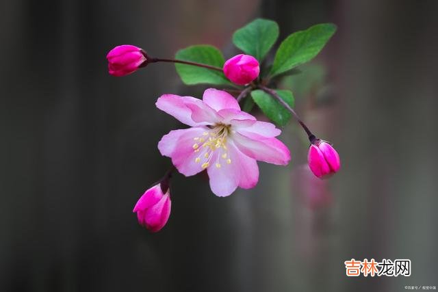 01引言找一个相爱的人相伴余生 一辈子很短，没必要把感情和时间，浪费在不值得的人身上