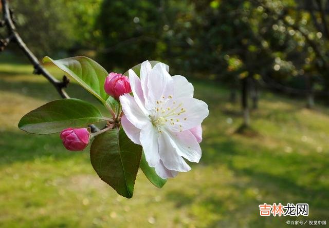 01引言找一个相爱的人相伴余生 一辈子很短，没必要把感情和时间，浪费在不值得的人身上