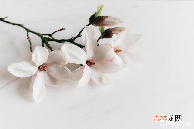 韶华匆匆 少说多做，是生活的智慧，往后余生，就得闭上嘴，攒劲儿干