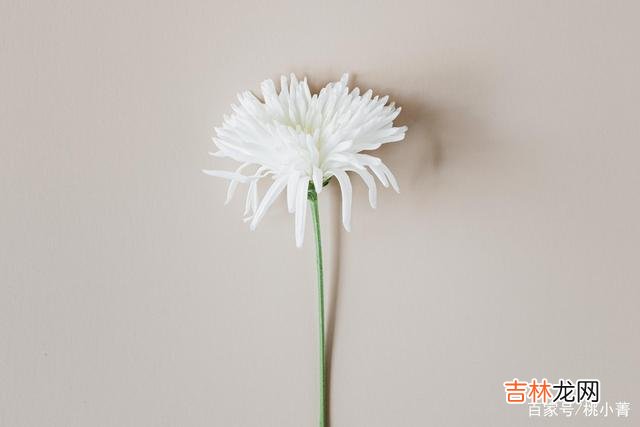 韶华匆匆 少说多做，是生活的智慧，往后余生，就得闭上嘴，攒劲儿干