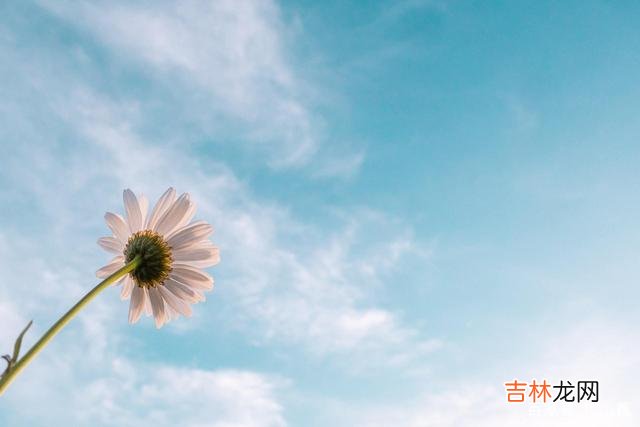 韶华匆匆 少说多做，是生活的智慧，往后余生，就得闭上嘴，攒劲儿干