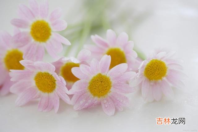 01引言每个女人 只要做到了，你就明白了生活的真谛