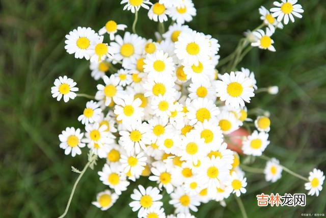 01引言每个女人 只要做到了，你就明白了生活的真谛