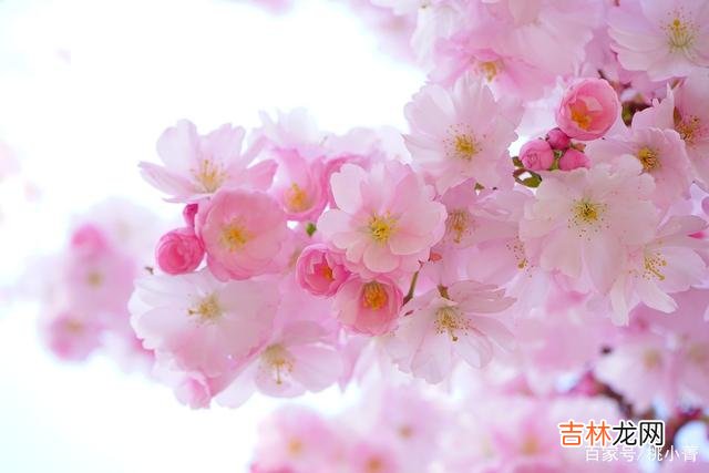 很多人都在抱怨 尝试着让自己静下来，幸运之神才会眷顾你，成功才会奔向你