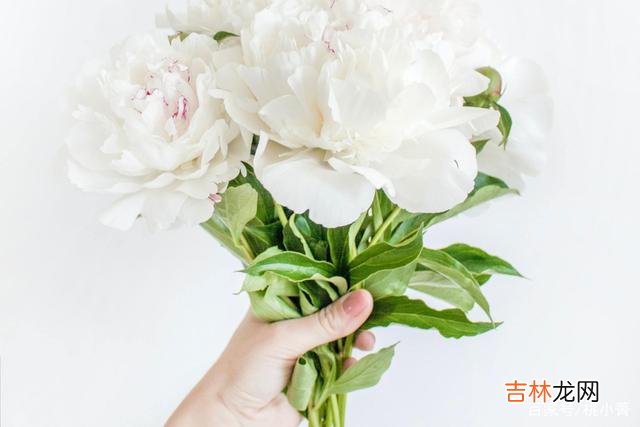 爱情 别傻了，你内心的那股失望感，就是在告诉你，别爱了，快放手