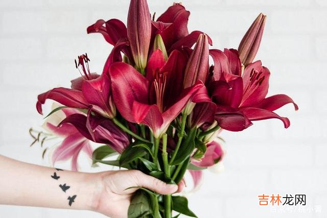 爱情 别傻了，你内心的那股失望感，就是在告诉你，别爱了，快放手
