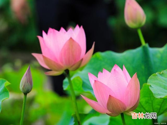 01引言世人都盼着缘分能修成正果 一段感情的不成立，其实，从一开始就有痕迹