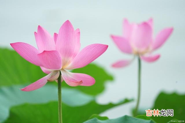 01引言世人都盼着缘分能修成正果 一段感情的不成立，其实，从一开始就有痕迹