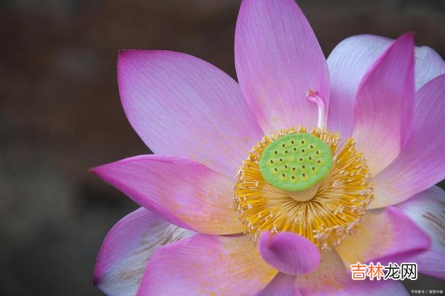 01引言世人都盼着缘分能修成正果 一段感情的不成立，其实，从一开始就有痕迹