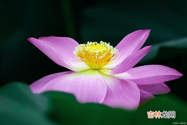 01引言世人都盼着缘分能修成正果 一段感情的不成立，其实，从一开始就有痕迹