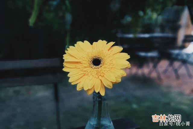 人这一生 余生，不必去讨好任何人，做你自己就好，只要自己活得轻松自在