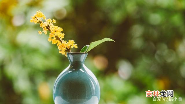 人这一生 余生，不必去讨好任何人，做你自己就好，只要自己活得轻松自在