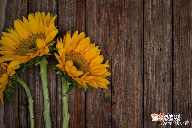 人这一生 余生，不必去讨好任何人，做你自己就好，只要自己活得轻松自在