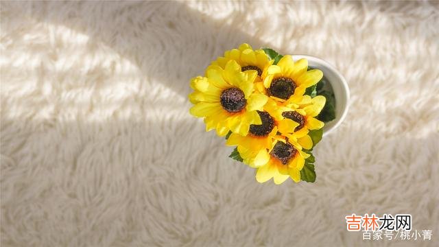 人这一生 余生，不必去讨好任何人，做你自己就好，只要自己活得轻松自在