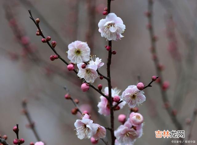 01引言俗话说 说话耿直的人，都没什么坏心眼，他们通常都是心地最善良的人！