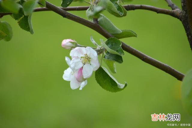01引言俗话说 说话耿直的人，都没什么坏心眼，他们通常都是心地最善良的人！