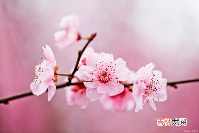 01引言俗话说 说话耿直的人，都没什么坏心眼，他们通常都是心地最善良的人！