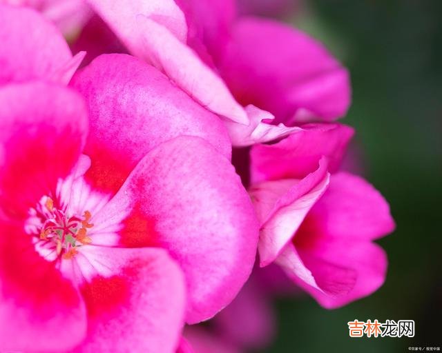 01引言在这个多姿多彩的世上 一个真正强大的人，都有一个了不起的能力，那就是稳得住自己