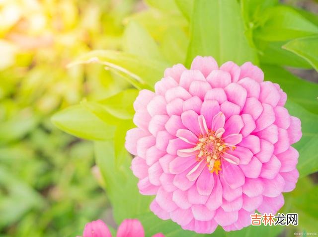 01引言在这个多姿多彩的世上 一个真正强大的人，都有一个了不起的能力，那就是稳得住自己