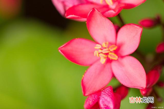 01引言在这个多姿多彩的世上 一个真正强大的人，都有一个了不起的能力，那就是稳得住自己