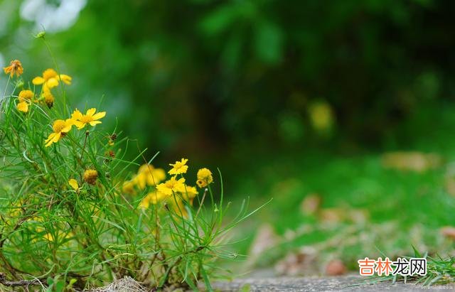与人交往的时候 余生不长，愿我们每个人在与人交往的时候，都能做到这三点