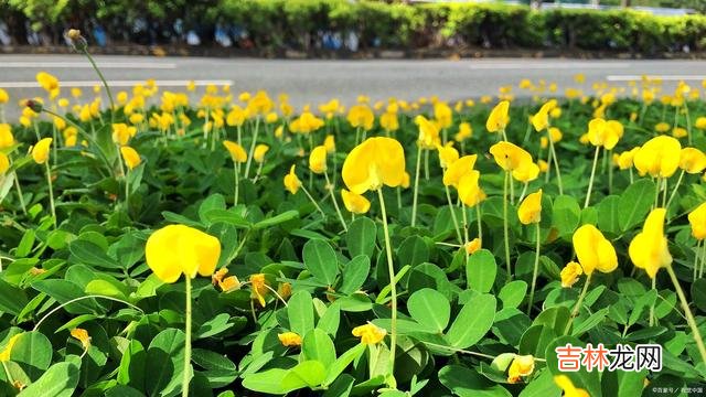 与人交往的时候 余生不长，愿我们每个人在与人交往的时候，都能做到这三点