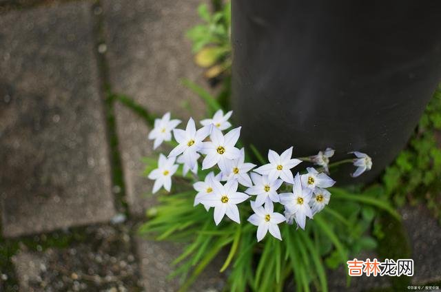 与人交往的时候 余生不长，愿我们每个人在与人交往的时候，都能做到这三点