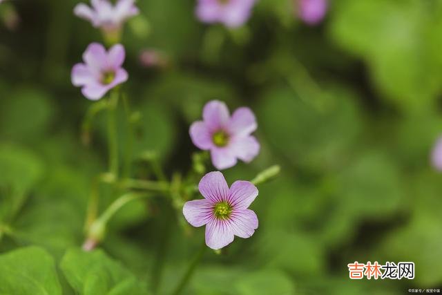 与人交往的时候 余生不长，愿我们每个人在与人交往的时候，都能做到这三点