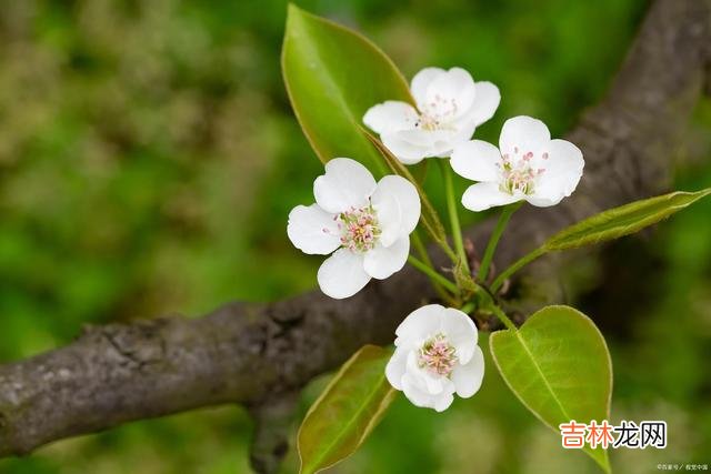 01引言这世上总有一种人 因为习惯性反驳别人，是低情商的表现