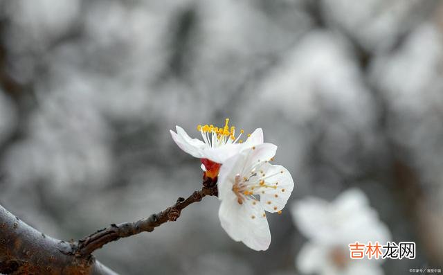 01引言这世上总有一种人 因为习惯性反驳别人，是低情商的表现