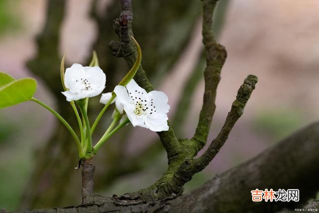 01引言这世上总有一种人 因为习惯性反驳别人，是低情商的表现